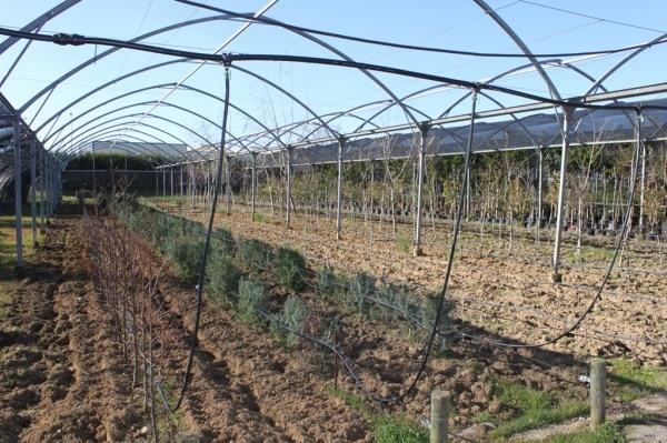 El Centro Ocupacional Proserpina recibe una subvención del SEPAD de 106.315 euros