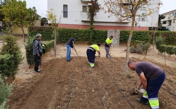 Los huertos escolares de Mérida se inscriben en el mapa de la “Red Estatal de Huertos Escolares”