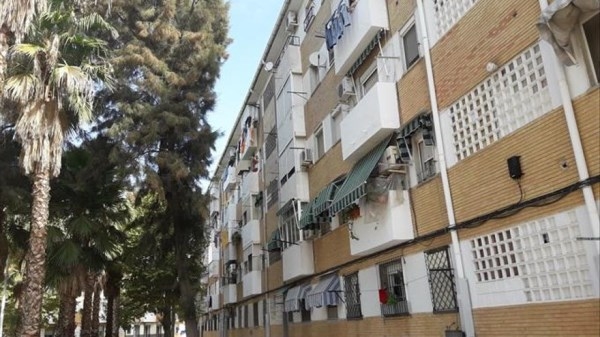 Los vecinos de La Antigua exigen una solución para la plaga de palomas