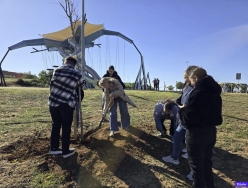 Reforestación participativa en el parque forestal