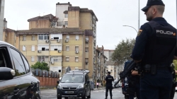 Detenido en Dos Hermanas un hombre que partió varios dientes a su novia con la culata de una pistola