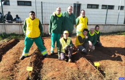 ANIDI se sigue encargando del mantenimiento de su plaza