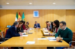 Diputación de Sevilla patrocina el Campeonato de Andalucía de fútbol de selecciones provinciales infantiles y cadetes