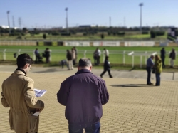 Segunda jornada del año en el Gran Hipódromo de Andalucía
