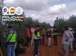 Liberados 45 trabajadores irregulares explotados en la recogida de mandarinas en una finca de Dos Hermanas