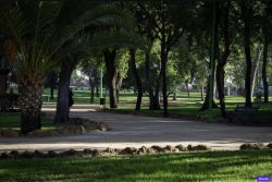 El Plan de Biosombra plantará unos 600 árboles en la ciudad