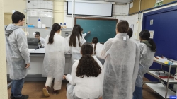 De las aulas al laboratorio para revolucionar la ciencia