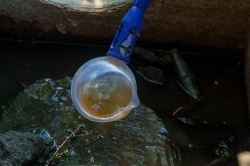 La Diputación de Sevilla inicia este miércoles una nueva fase de tratamientos contra mosquitos en arrozales