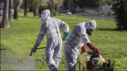 Detectados dos nuevos casos del virus del Nilo en Dos Hermanas, uno de ellos grave