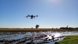 Diputación de Sevilla amplía controles y tratamientos frente a mosquitos con aplicaciones con drones en 500 hectáreas