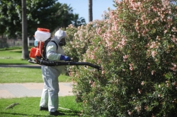 Andalucía eleva a 47 los casos de virus del Nilo tras detectar un nuevo caso grave en Dos Hermanas