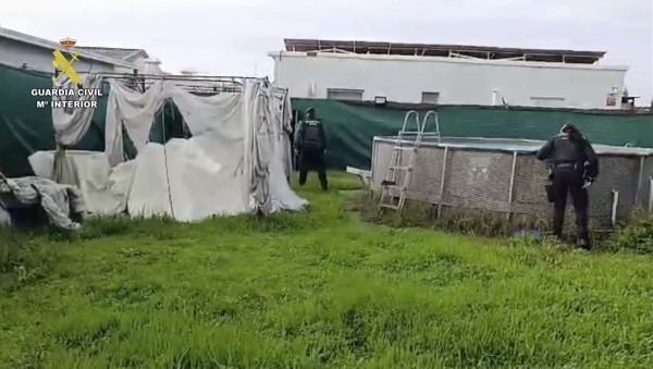 Los parcelistas investigados en Dos Hermanas culpan del problema al Ayuntamiento