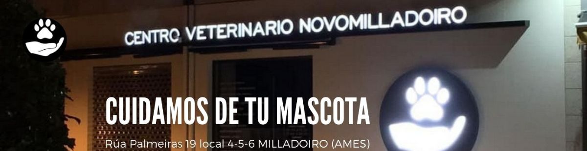 VETERINARIO EN MILLADOIRO