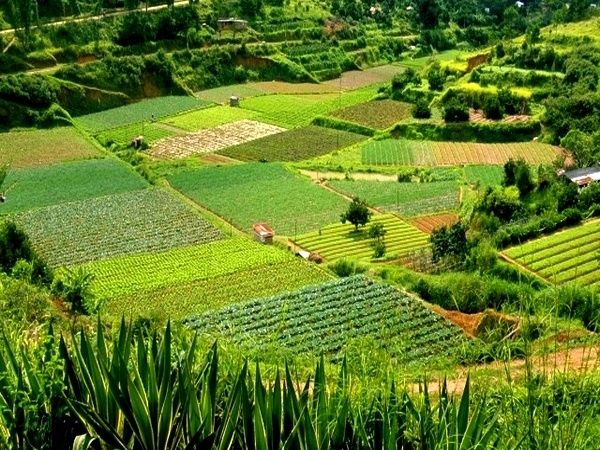 Agrosa, perito judicial en Santiago de Compostela