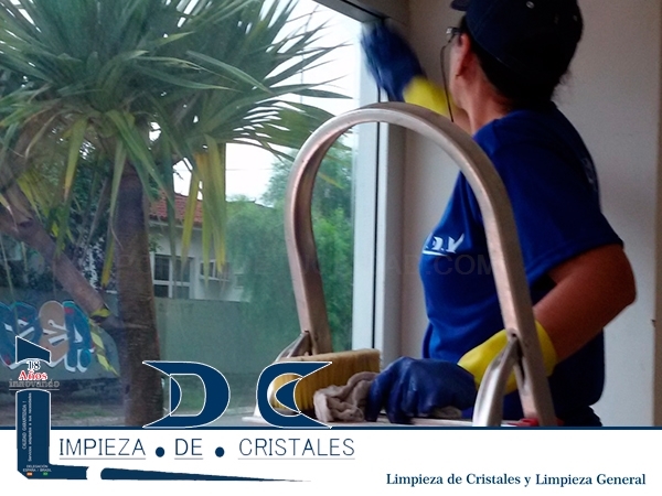 EMPRESA DE LIMPIEZA EN SANTIAGO, LDC