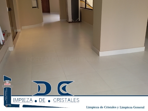 EMPRESA DE LIMPIEZA EN SANTIAGO, LDC