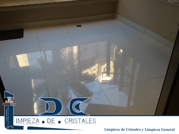 EMPRESA DE LIMPIEZA EN SANTIAGO, LDC