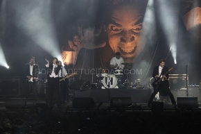 The Hives1