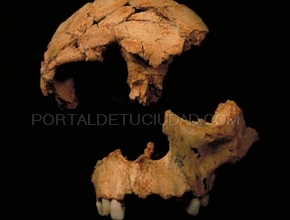 Yacimientos de la Sierra de Atapuerca