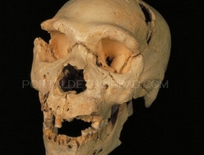 Yacimientos de la Sierra de Atapuerca