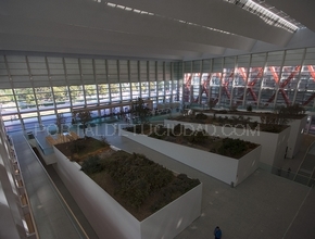 Museo de la Evolución Humana