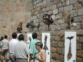 XVi Jueves Turistico