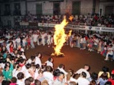 Programa Cultural. San Juan 2011