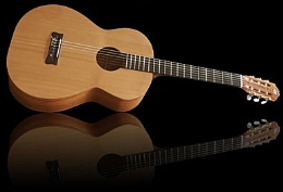 XVI Festival Internacional de Guitarra - XVI International Guitar Festival