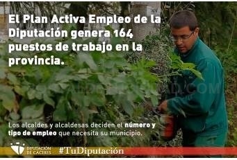 El Plan Activa Empleo de la Diputación genera 164 puestos de trabajo en la provincia