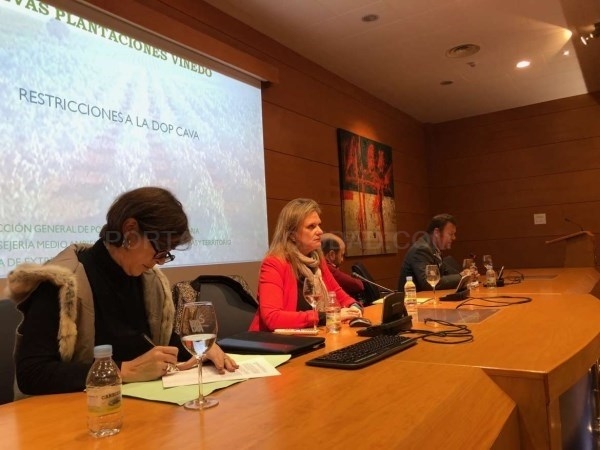 La directora general de PAC traslada al sector del cava de Tierra de Barros la posición de la Junta ante las restricciones del Gobierno central.