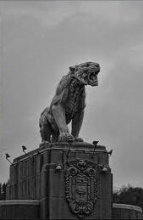 El edificio del Tigre en Deusto