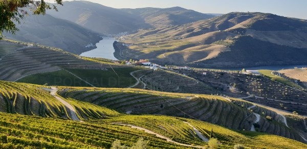 Descubrir el curso del Duero en España y Portugal: historia, paisaje, vinos y gastronomía