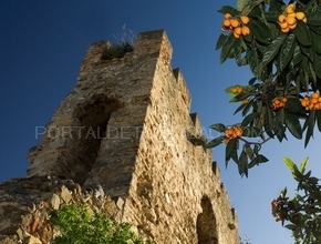 Restos de un castillo árabe