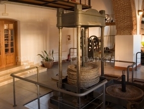 Museo del Aceite