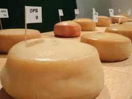 Feria del queso 2019
