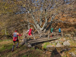 Otoño Mágico al Valle del Ambroz