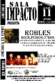 Concierto del grupo  Robles