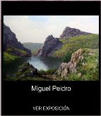 Exposición de pintura Miguel Peidro