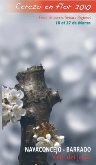 Cerezo en Flor