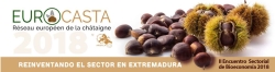 El IX Congreso Europeo de cultivo de castaños se celebrará en septiembre.