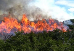 El INFOEX desactiva el nivel 1 y da por controlado el incendio de Plasencia