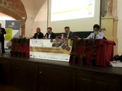 Más de 200 productores e investigadores se dan cita en ‘Eurocasta 2018’ para abordar nuevas técnicas sostenibles de cultivo del castaño.