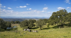 El club de Cazadores de Plasencia organiza una batida de caza el próximo domingo día 10 en Valcorchero.