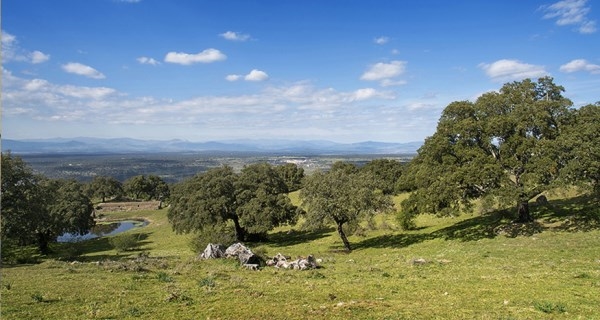 El club de Cazadores de Plasencia organiza una batida de caza el próximo domingo día 10 en Valcorchero.