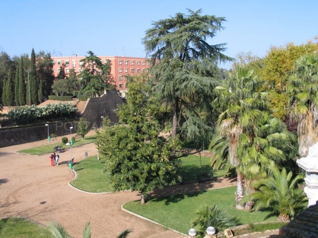 Parque infantil Parque infantil