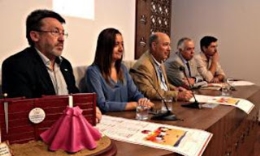 VI Certamen de Novilladas