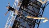 JUVENTUD. PUENTING