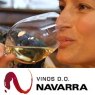 DEGUSTACION DE VINOS EN PAMPANO VINATERIA