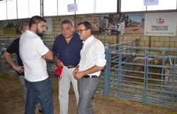Gallardo apuesta por innovar en nuevos formatos y recetas para mejorar el consumo de carne de cordero