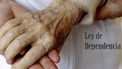 Subvenciones directas para el mantenimiento del servicio de ayuda a domicilio del Sistema para la Autonomía y Atención a la Dependencia .